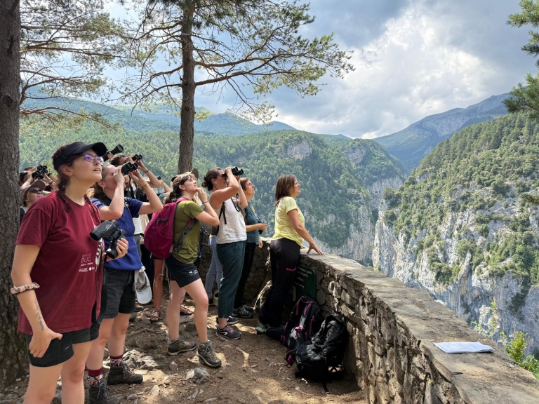 Patas, plumas, pelos y pétalos