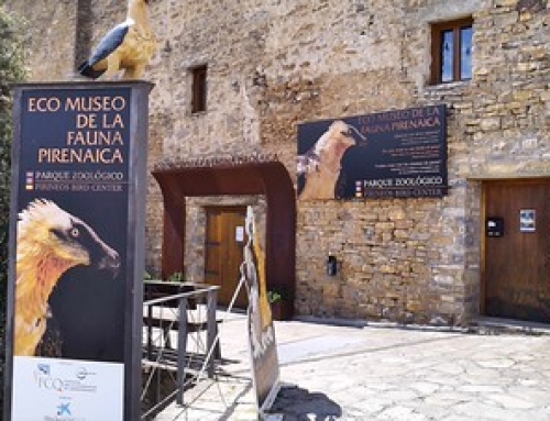 Geoparque Sobrarbe-Pirineos: proyectos que dan vida a un territorio único.