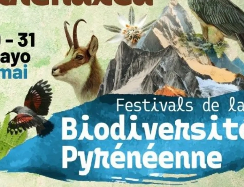 Aínsa acoge la primera edición de los Festivales de la Biodiversidad Pirenaica.