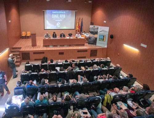 El Congreso Canal Roya sigue avanzando.