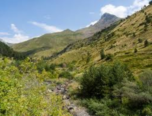 Recurso judicial al telecabina Astún-Candanchú por “incumplir la normativa ambiental” y su impacto sobre la fauna.