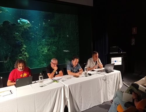 Reunión Grupo de Trabajo del Quebrantahuesos en España (Zaragoza, 18-6-2026)
