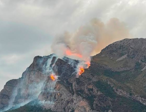 Aragón y los incendios forestales