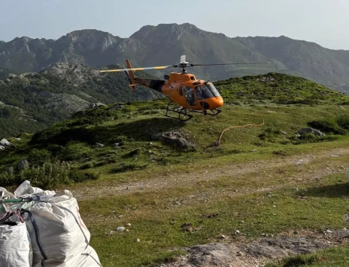 La Fundación Quebrantahuesos traslada en helicóptero 3,5 toneladas de pienso para los mastines de Picos de Europa.